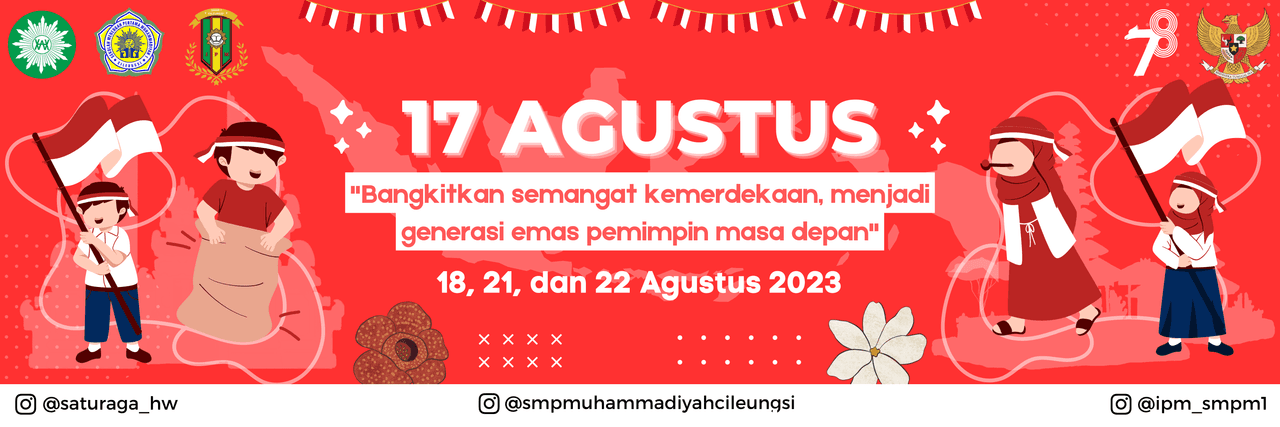 Banner IPM 17an